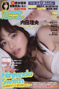 纯肉(高H.NP)